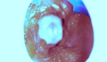 How I Fuck From the Inside! Camera Inside!