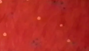 Bed naked Hump Masturbation only for Friends