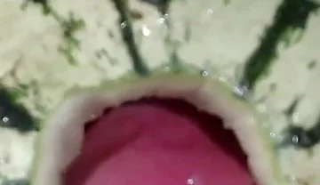 Fucking a Watermelon- the Best Fruit to Fuck