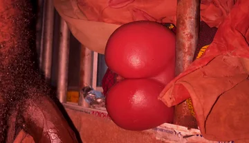 Big Ass Vibrate All Dick to Cum Hubby