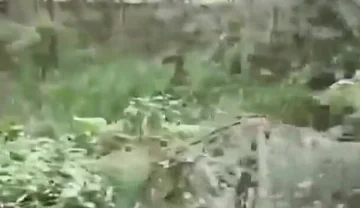 A Worker Passed Through the Park and Received a Blowjob.