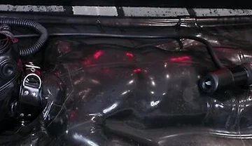 V11 Vv11 [pp Training]