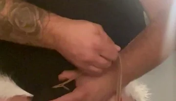 Cock Bondage with Crossdress and Additional Bondage Hands Cuffed to Collar with Butt Plug Insterted