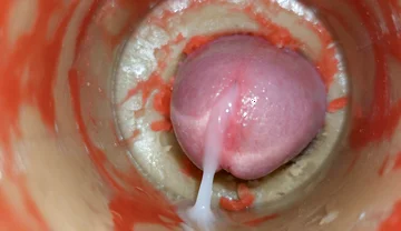 Camera 4K in Vagina, Cervix POV