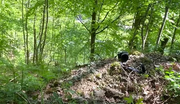 Connecting with Nature