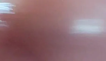 Beautiful Pink Penis Dripping Sweet Nectar.