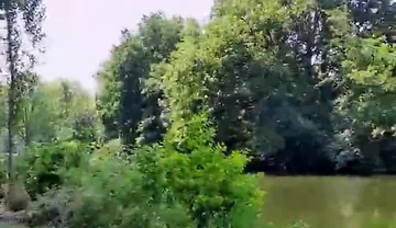 Slutboyben Cam4 Mega Sexy Public Exhibitionist Pig