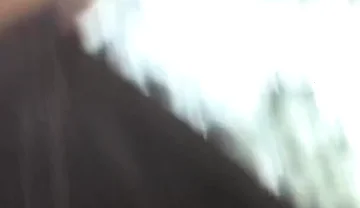 Five Skaters Hook up at the Edge of the City Park