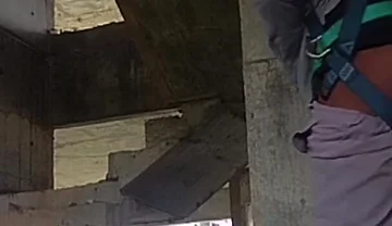 I Took a Toy to Work and Look What I Did