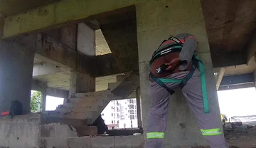 I Took a Toy to Work and Look What I Did