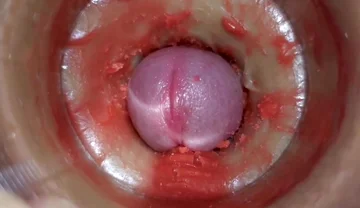 Best Compilation Crempie Pussy - Camera Inside 4K