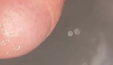 Breaking My Dick After an Extremely Hot Orgasm!!!