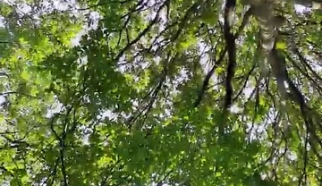 Slutboyben Cam4 Sexy Cruising Chick Iii Live Outdoor Exposure