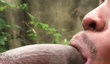 Sweet Cock Sucker